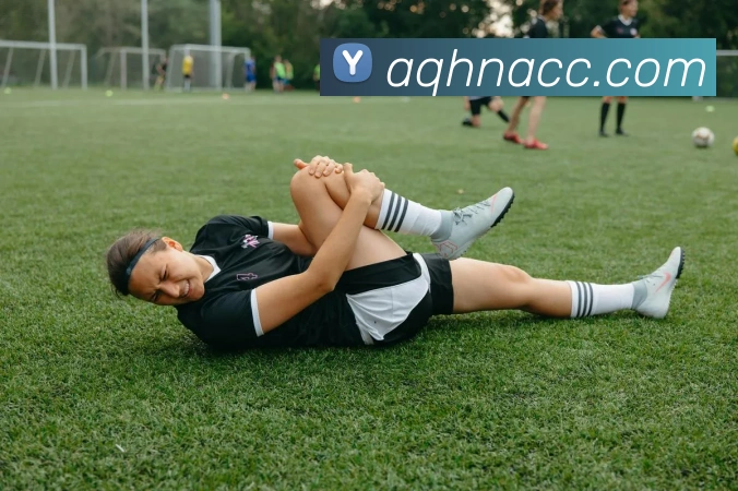 开云手机在线登陆入口平台生态图